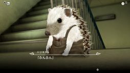 ꡼ No.012 | ֲå4Gamer356󡧡ĤߤιΥꥹREcollectionפýФäƵ㤱̾ǤȤо졪