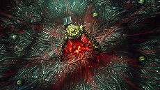 ꡼ No.032 | The First DescendantפΥ1Invasion׳롣Υʥѡ֥إ꡼פ֥ƥå ե쥤ʡפ