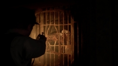 ꡼ No.009 | ᥤǡAlone in the DarkפΥѥåǤͽ档ְŤΡ׾Ҳȥ쥤顼ܸǤ