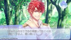 ꡼ No.013 | α for Nintendo SwitchפΥץ쥤ࡼӡά饯ȤΤȤȯ˳ǧǤ