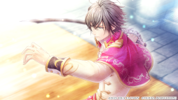 ꡼ No.009 | ADVα for Nintendo Switchȯ䡣Ȥǥ硼ȥȡ꡼