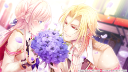 ꡼ No.010 | ADVα for Nintendo Switchȯ䡣Ȥǥ硼ȥȡ꡼