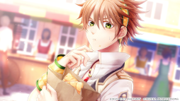 ꡼ No.011 | ADVα for Nintendo Switchȯ䡣Ȥǥ硼ȥȡ꡼