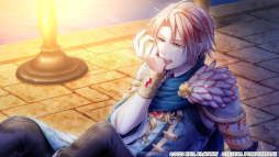 ꡼ No.013 | ADVα for Nintendo Switchȯ䡣Ȥǥ硼ȥȡ꡼