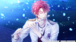 ꡼ No.014 | ADVα for Nintendo Switchȯ䡣Ȥǥ硼ȥȡ꡼