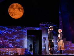 ����ֽ���Υ����륷��ץ��ͥץ���ݡ��ȡ������ȥ��쥹���ڤʤ���ʪ���ꥳ�ꥹ���Υ����ȱ�Ǳ��