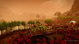 ꡼ No.006 | ɾХХ륷Stranded: Alien Dawnסϰɲä̵åץǡȤ629ۿ