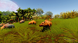 ꡼ No.015 | ɾХХ륷Stranded: Alien Dawnסϰɲä̵åץǡȤ629ۿ