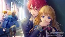 ꡼ No.011 | ֲå4Gamer367Switchǡ֥ޥƥåޥꥫפýɲǤȤƿ롼Ȥɲ