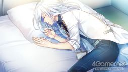 ꡼ No.013 | ֲå4Gamer367Switchǡ֥ޥƥåޥꥫפýɲǤȤƿ롼Ȥɲ