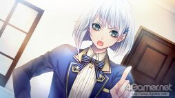 ꡼ No.015 | ֲå4Gamer367Switchǡ֥ޥƥåޥꥫפýɲǤȤƿ롼Ȥɲ