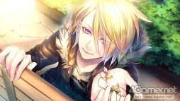 ꡼ No.017 | ֲå4Gamer367Switchǡ֥ޥƥåޥꥫפýɲǤȤƿ롼Ȥɲ