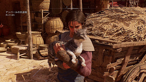 ꡼ No.004 | Υץ쥤ݡϡ֥ ꡼ ߥ顼פϥƥ륹Ż̤˲Фץ쥤եǡ꡼Ρȸ󵢡ɤפ