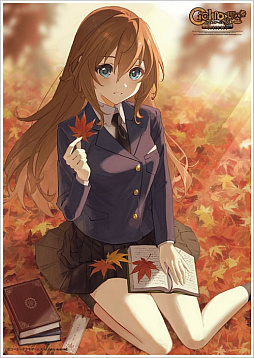 ꡼ No.007 | ֥ȥ2023פȡ֥饤2023סȥåפͽճ