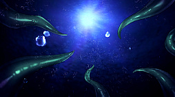 ����õ�奵������̾���Ǥ��ʤ��������