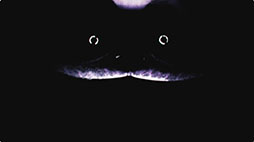 ꡼ No.004 | ۥ顼Poppy PlaytimeסChapter 3Deep Sleep130꡼եʥȥ쥤顼