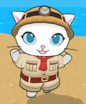 ꡼ No.006 | æä PROסȺǶĥɤȻİԤΡȥХȥзȤ222ۿ