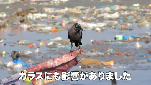 画像ギャラリー No.003のサムネイル画像 / カラスのメタバース「カラッスゥー」,カラスの日を記念して本日リリース