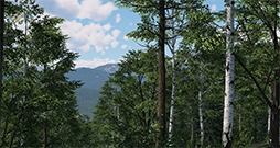 ꡼ No.010 | ե饤ȥߥ졼Xץ쥤12ܸǤ1117ȯ䡣Ҷ817000ʾζϿ