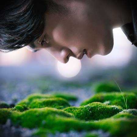 ꡼ No.009 | ֥ޡ Another Horizonץơޥ󥰥ƥȡ&cadodeθȤ