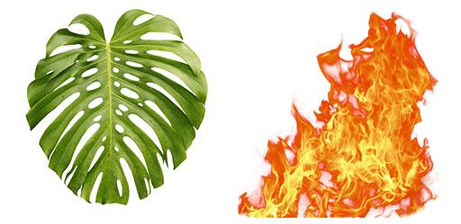 ꡼ No.015 | ʤ3DGEGeForce RTX 40⡣̤˥쥤ȥ졼󥰤ǽʤɸɤΤ٤Ƥ餫