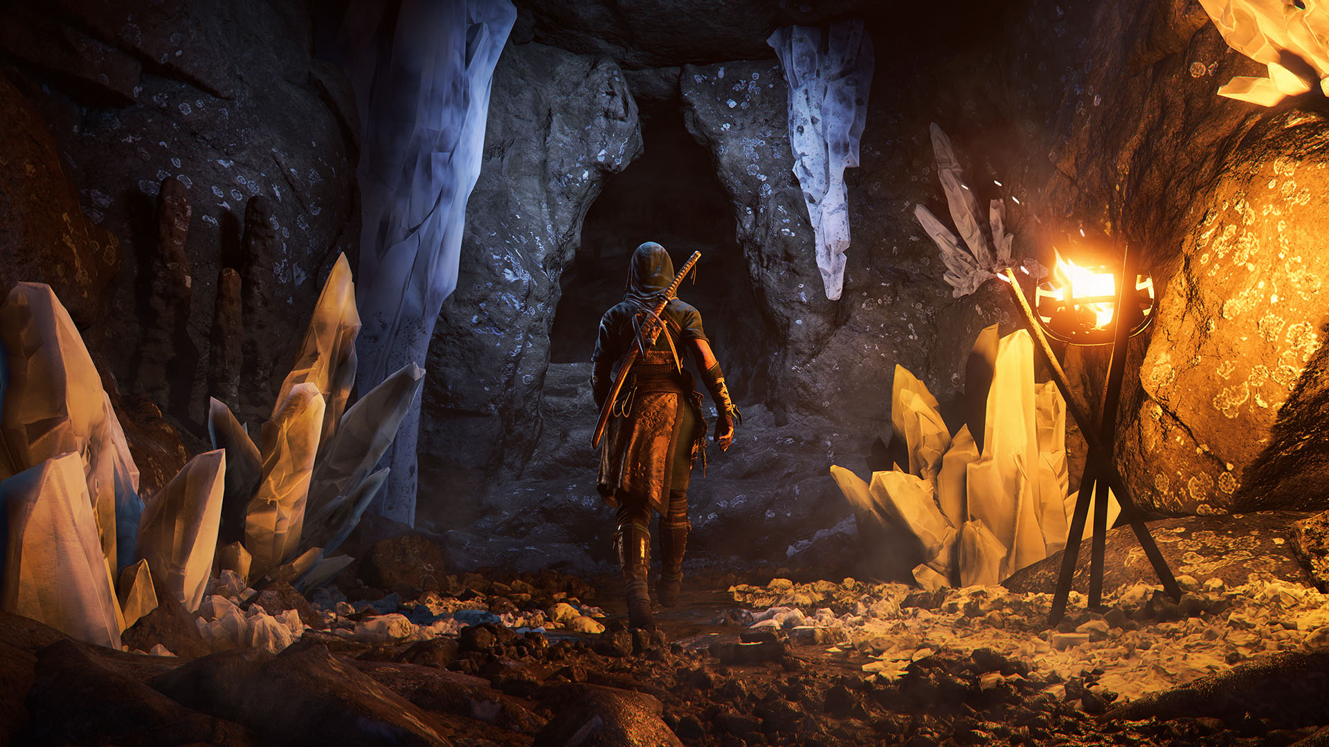 ꡼ No.004 | ֥ ꡼ ɥס˥ֿʷε͡פȥܡﹾΥȶĤĩ।٥Ȥڤ