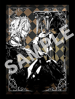 ꡼ No.007 | ֹߥꥢII ŸúΡסSwitchѥåǤŹ̥ꥸʥŵҲ𡣥ץ쥤ܤθPV