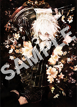 ꡼ No.014 | ֹߥꥢII ŸúΡסSwitchѥåǤŹ̥ꥸʥŵҲ𡣥ץ쥤ܤθPV