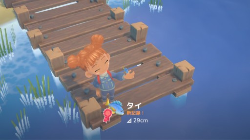 ꡼ No.003 | 1222ȯSwitchǡHokko Lifeספζˡξ