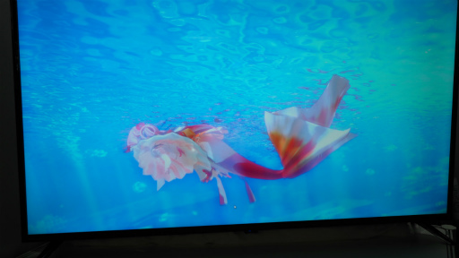 ꡼ No.008Υͥ / TGS2022ϡȤ襤ޥɤȥץܡ͵ꥦ֥ޥ᡼ -my Mermaid-פŸ˾ʹƤߤ