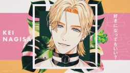 ���������꡼ No.008�Υ���ͥ������ / ��No.XXXX?�ץơ��ޥ��󥰤Υߥ塼���å��ӥǥ�������������󿧻�Υץ쥼��ȥ����ڡ����»�