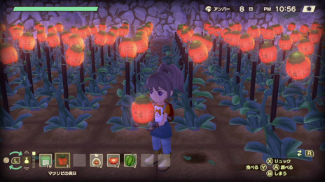 ꡼ No.014 | Ҿʪ Welcomeե饤աפξҲˡв񤤤Ĺ̤ʤܺθǤǯˤ錄ΰǧǤ