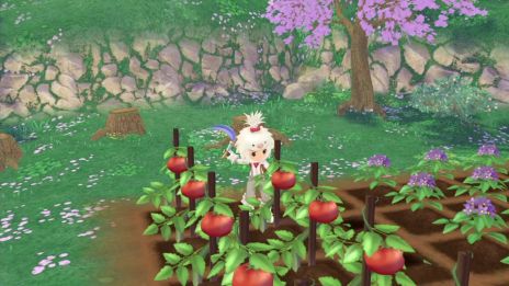 ꡼ No.004 | DLǡҾʪ Welcomeե饤աפͽ򳫻ϡ213ޤǤ10OFFǹǤ