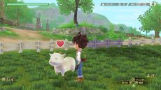 ꡼ No.013 | DLǡҾʪ Welcomeե饤աפͽ򳫻ϡ213ޤǤ10OFFǹǤ