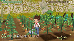 ꡼ No.045 | Υץ쥤ݡϡҾʪ Welcomeե饤աפ¤⤦ĤοοǤˤꡤ˽¤ҾθǤSwitchᥤ