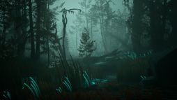 ꡼ No.007 | Pacific Drive