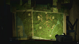 ꡼ No.004Υͥ / Pacific DriveȯɽꥫʿδˤȰ;λΥɥ饤ӥ󥰥ХХ륲