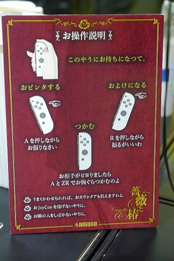 ꡼ No.006 | TGS2022ϡȤΡɤӥ󥿥鯤ءפSwitchǤо졣롼ѹJoy-ConбǽŤߤȤӥ󥿷ƮɤTGSǴǽƤ