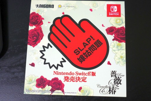 ꡼ No.013 | TGS2022ϡȤΡɤӥ󥿥鯤ءפSwitchǤо졣롼ѹJoy-ConбǽŤߤȤӥ󥿷ƮɤTGSǴǽƤ