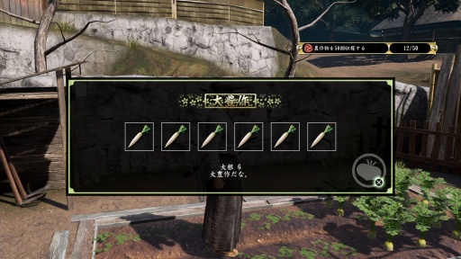 ꡼ No.037Υͥ / Υץ쥤ݡϡζǡ ݿ ˡפ϶ǯ꡼Υեˤʤäͤ˶ᤷ ɴΤȴ褦Ÿζɤοĺ