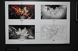 ꡼ No.017Υͥ / пݤ饹Ÿ⡣unVEIL the world ٥  ɡפγȯץե2024Ǹ