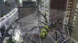 ꡼ No.016 | ϵɱҷ4.1 for Nintendo Switchס̿ΥեʡϵʪܥåȡĶͷϤʤɤξ󤬸