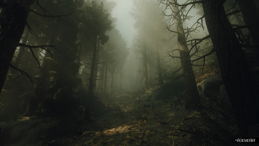 ꡼ No.005 | ХХۥ顼The OccultistסǿСTGS˥ץ쥤֥ŸΥڥǥȤ̩TGS2024