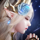 �ѥå�����