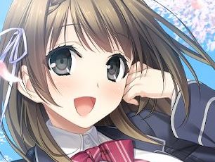 PS4/Switchǡ֥ϥ륭סθǤSwitchǤͽդȤ1252359ޤǤ10󥪥դ