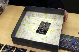 ꡼ No.029 | ץ쥤Ǻǹʪθ򡣿ܥɥ˵ܤΥǥƥåȡԥץ쥤ݡȡ󥺥٥꡼ˤץ쥤ưǺ