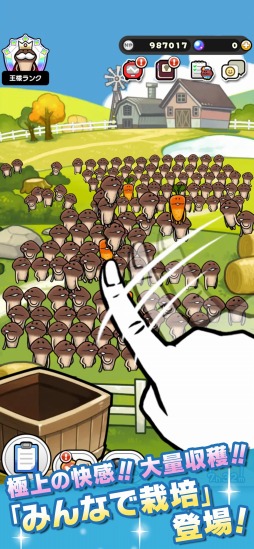 画像ギャラリー No.003のサムネイル画像 / 100人のチームでなめこを収穫!「みんなのなめこ栽培キット」3月6日0:00に配信決定