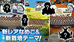 みんなのなめこ栽培キット