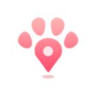 �ѥå�����