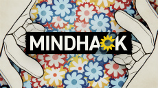 ꡼ No.024 | 侩Ķϥ֥饦ɡ 襫˿֥襫θݡȡλޤ14ȥλͷڤ